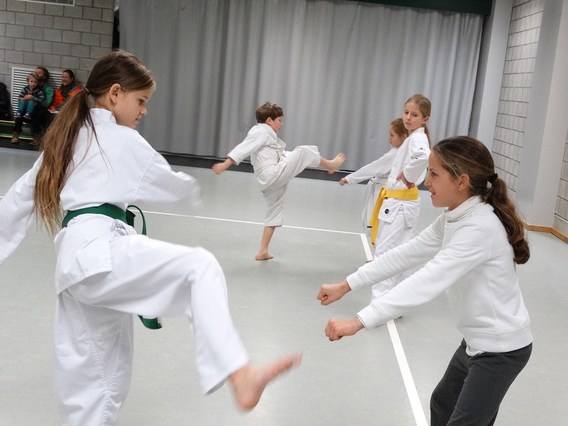 Shotokan_openduert_2014__6_