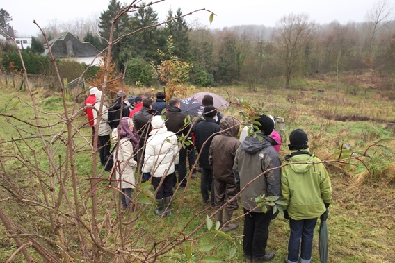 Editiepajot_jacky_delcour_2014-12-07_pannenkoekenwandeling