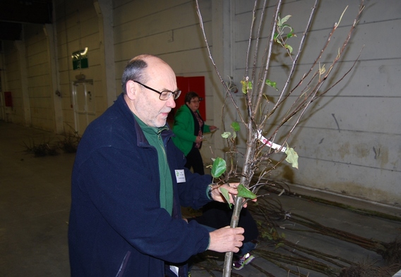 2014-12-08_geboortebomen