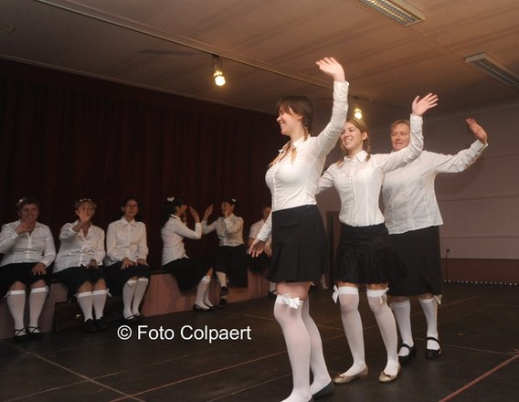 Editiepajot_gooik_herfstfeest_2_foto_marc_colpaert__kopie_