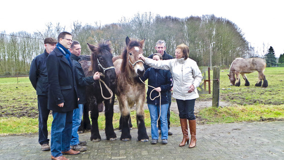 Editiepajot_ingezonden_veulenpremie141223_foto_sgentens_22