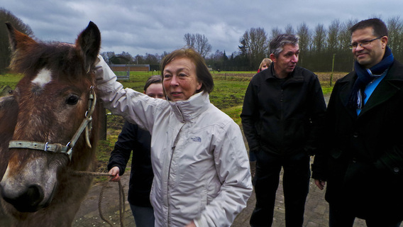 Editiepajot_ingezonden_veulenpremie141223_foto_sgentens_24