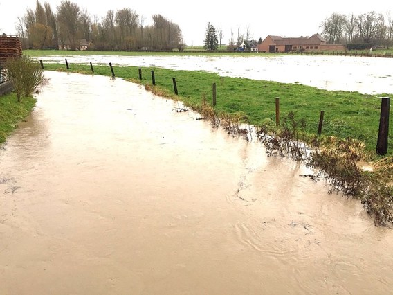 Waterellende_2015__6_
