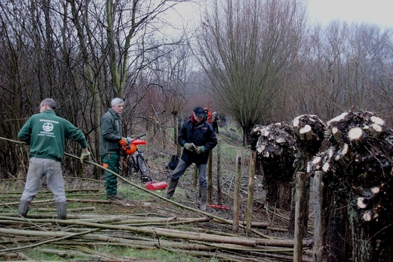 2015-01-20_beheerwerken_van_natuurpunt