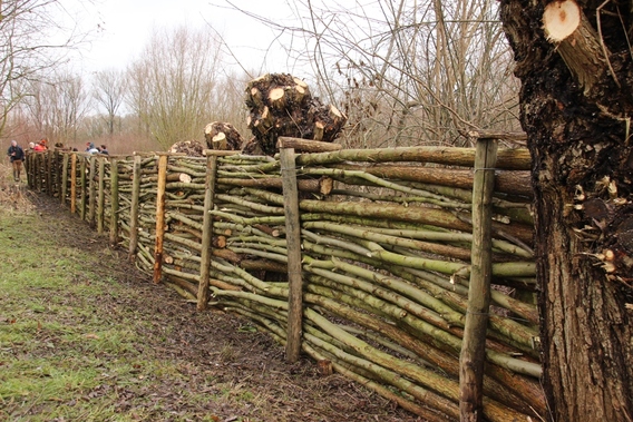 2015-01-20_beheerwerken_van_natuurpunt