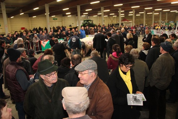 2014-01-25_interprovinciale_fokveebeurs_003a