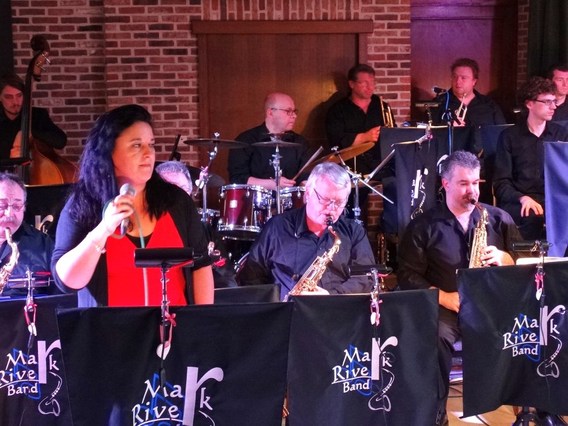 Mark_river_band_feb_2015_bavo_herfeligen__9_