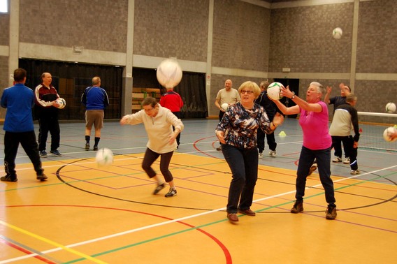 Editiepajot_emile_devogeleer_wandel-voetbal1_02032015