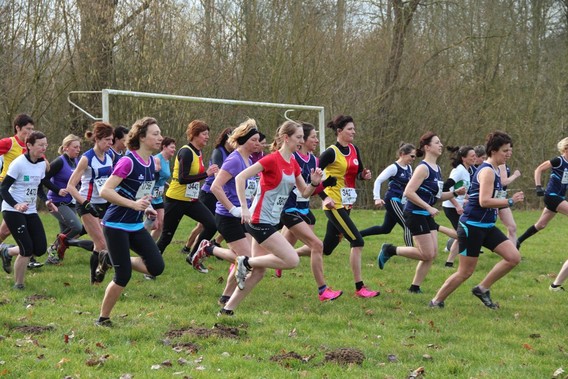 Editiepajot_jacky_delcour_2015-03-07_stratenloop_-_pallieters_043a