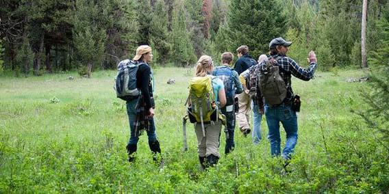 Editiepajot_bart_devill___wandeling