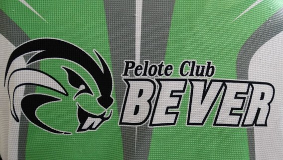 Kaatsseizoen_bever_2015__2_