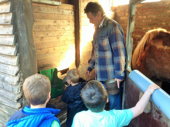 Editiepajot_ingezonden_meise_kinderboerderij_1