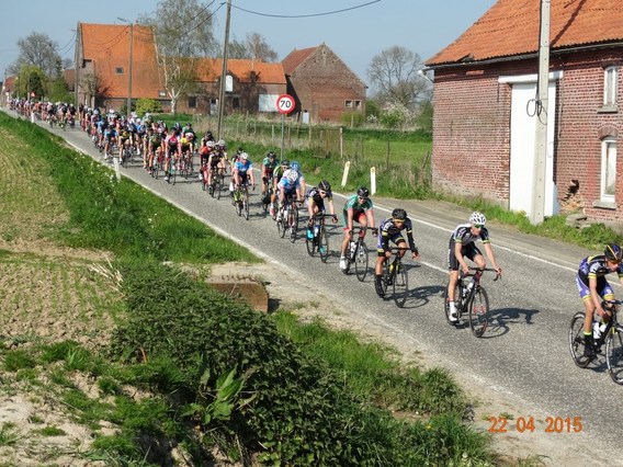 Koers_bever_april_2015__2_