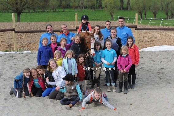 Editiepajot_gooik_paarden_foto_marc_colpaert__kopie_