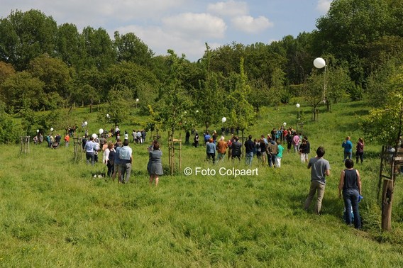 Editiepajot_gooik_paddenbroek_3_foto_colpaert__kopie_