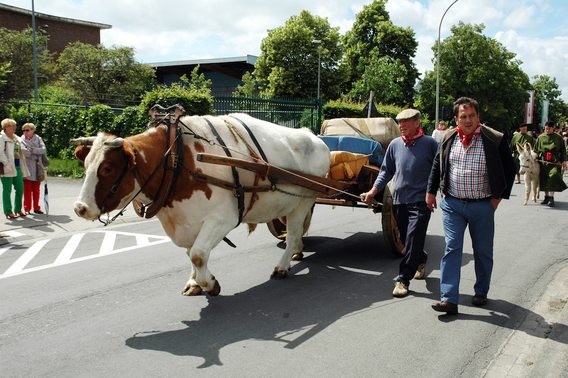 Editiepajot_paul_onselaere_sint-paulusprocessie_08062015