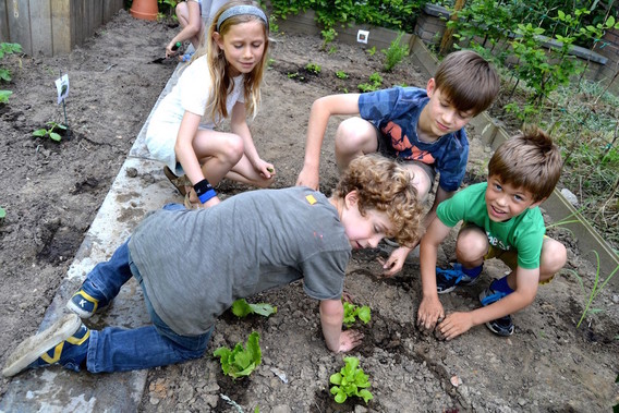 Editiepajot_emile_devogeleer_aanleggen_tuintje_in_gemeente_school_dworp1_11062015
