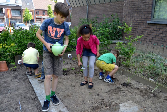 Editiepajot_emile_devogeleer_aanleggen_tuintje_in_gemeente_school_dworp2_11062015