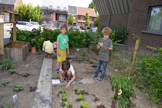 Editiepajot_emile_devogeleer_aanleggen_tuintje_in_gemeente_school_dworp3_11062015