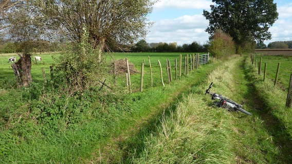Editiepajot_ingezonden_trage_wegen_ninove_19062015