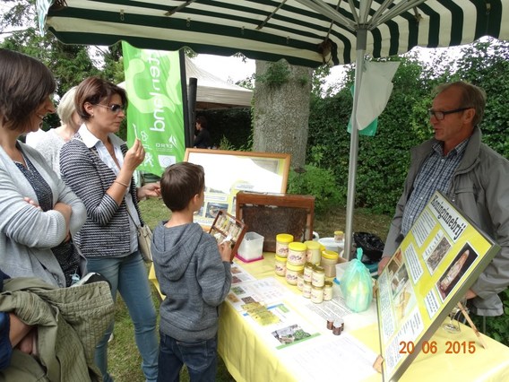 Art_valley_juni_2015__14_