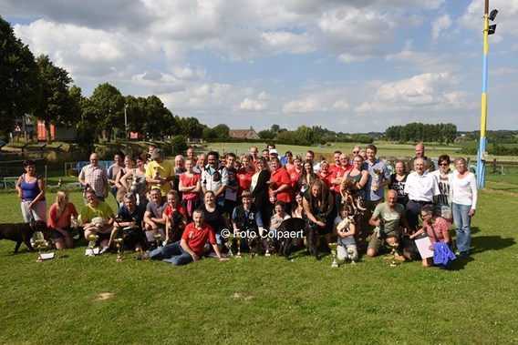 Editiepajot_gooik_hondenschool_2__kopie_