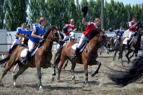 Editiepajot_b_ogaarden_paarden_1_foto_devogeleer