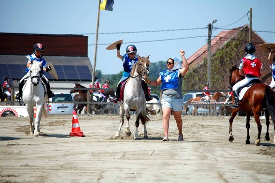 Editiepajot_b_ogaarden_paarden_2_foto_devogeleer