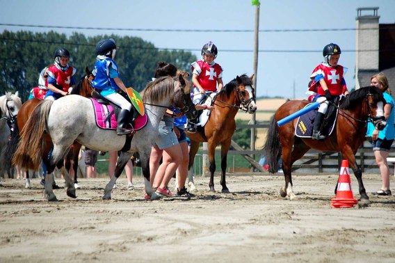 Editiepajot_b_ogaarden_paarden_3_foto_devogeleer