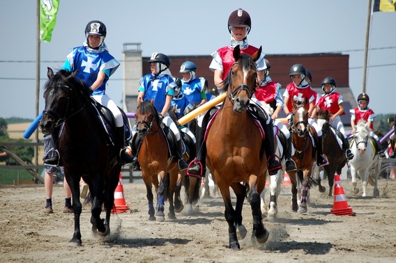 Editiepajot_b_ogaarden_paarden_4_foto_devogeleer