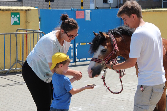 Editiepajot_jacky_delcour_2015-07-10_vakantie_kampen_kleuters__15_a