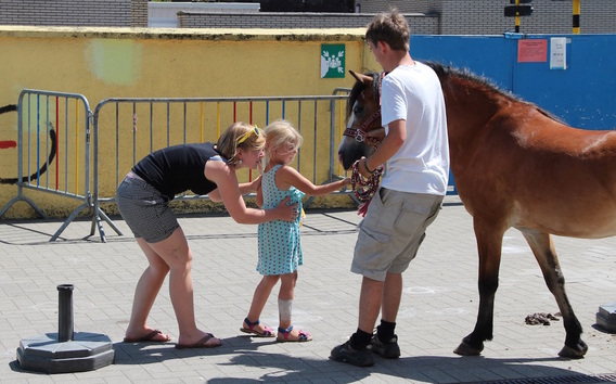 Editiepajot_jacky_delcour_2015-07-10_vakantie_kampen_kleuters__19_a