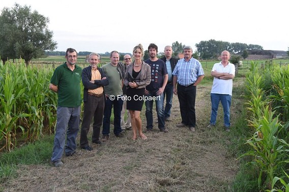 Editiepajot_galmaarden_bosbouw__kopie_