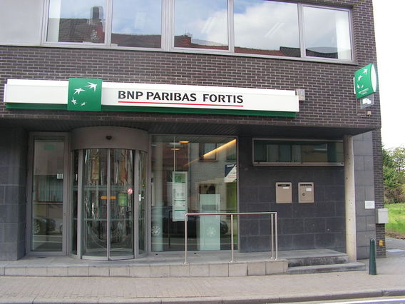 Editiepajot_ingezonden_bnp_fortis_ternat1_03102015