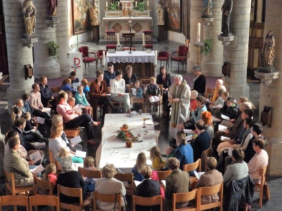 Editiepajot_ingezonden_viering_brussegem_06102015