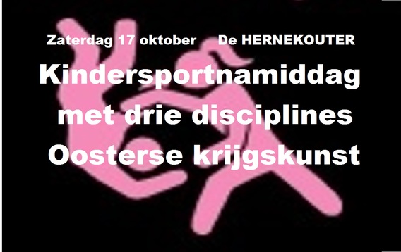 Kindersprotnamiddag_gevechtssporten