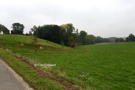 Editiepajot_gooik_nieuwe_cross__kopie_
