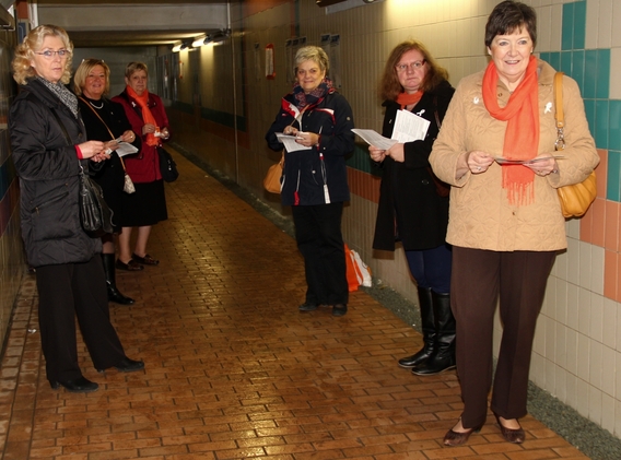 2015-11-13_witte_lintjes-campagne__21_a
