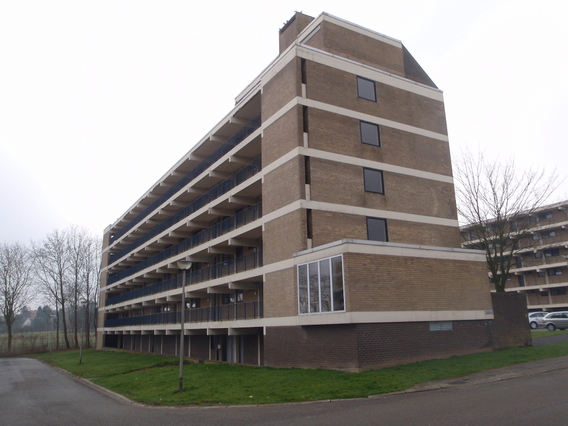 Editiepajot_ingezonden_grootbijgaarden__blok_4_oud