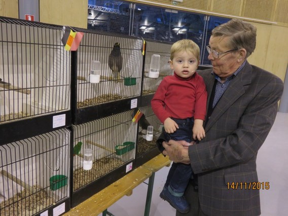 Vogeltentoonstelling_edingen_2015__16_