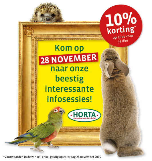 Horta_websiteinfosessies