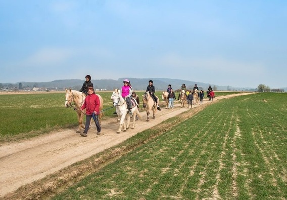 Image2