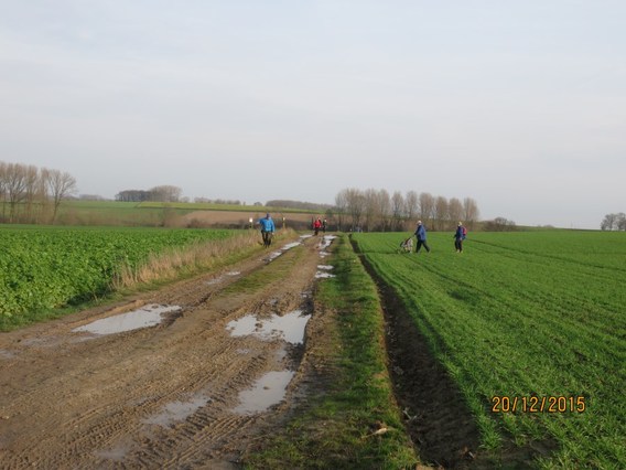 Eindejaarstochten_2015__18_