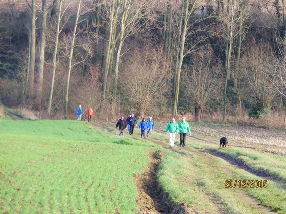 Eindejaarstochten_2015__25_