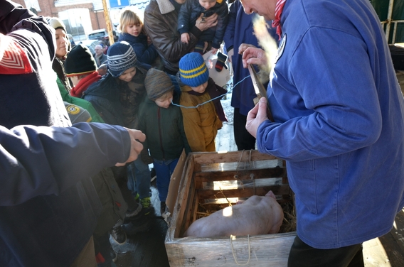 2016-01-17_sint-antonius_essene