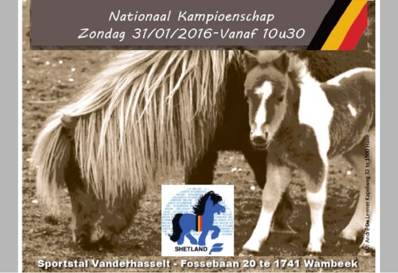 Pony_s_wambeek