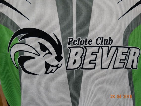 Kaatsers_bever_2016__4_