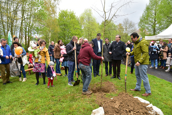 Editiepajot_jimmy_godaert_geboorteboom_vereeuwigt_nieuwe_kindjes
