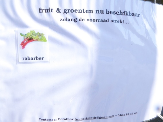 Koutertuin_p1000425_40p