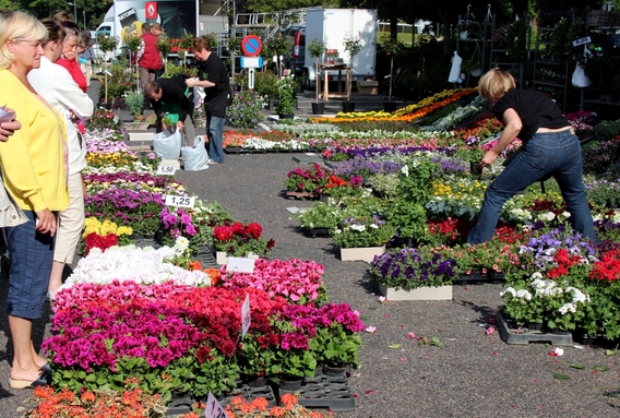 2015-05-18_bloemenmarkt_007-jda